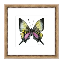 Plow & Hearth Wall Art>Androcles Swallowtail Framed Wall Art Painting