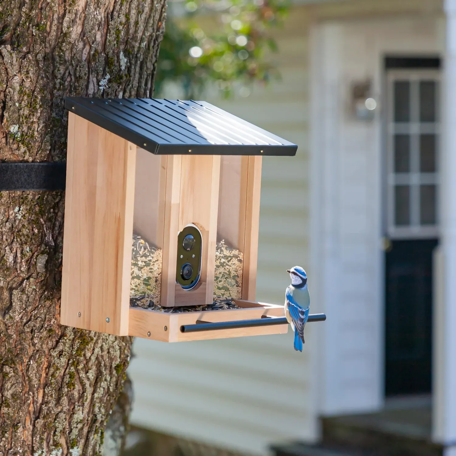 Plow & Hearth Bird Feeders>BirdsIVue Smart Feeder: Solar Wooden Bird Feeder