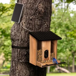 Plow & Hearth Bird Feeders>BirdsIVue Smart Feeder: Solar Wooden Bird Feeder