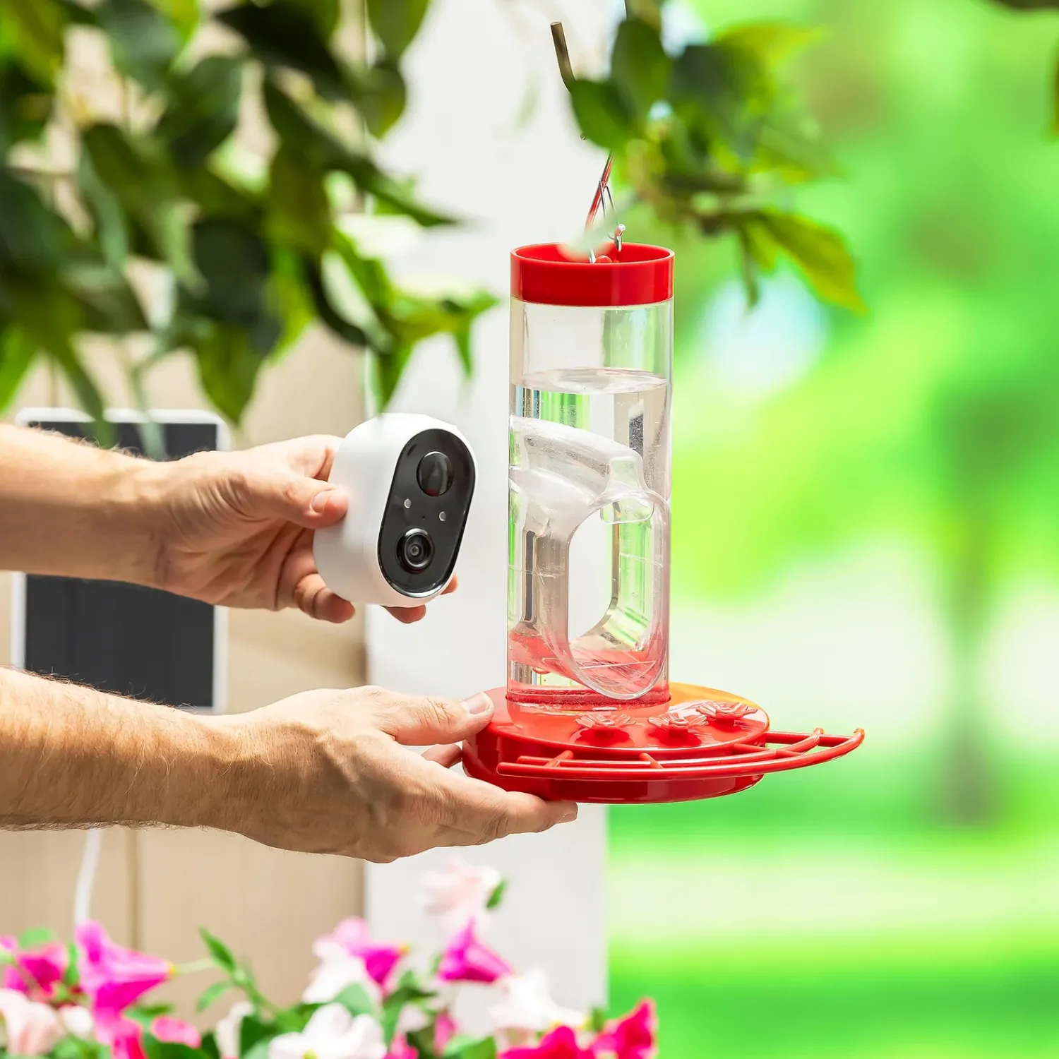 Plow & Hearth Hummingbird Feeders>BirdsIVue Smart Feeder: Solar Hummingbird Feeder