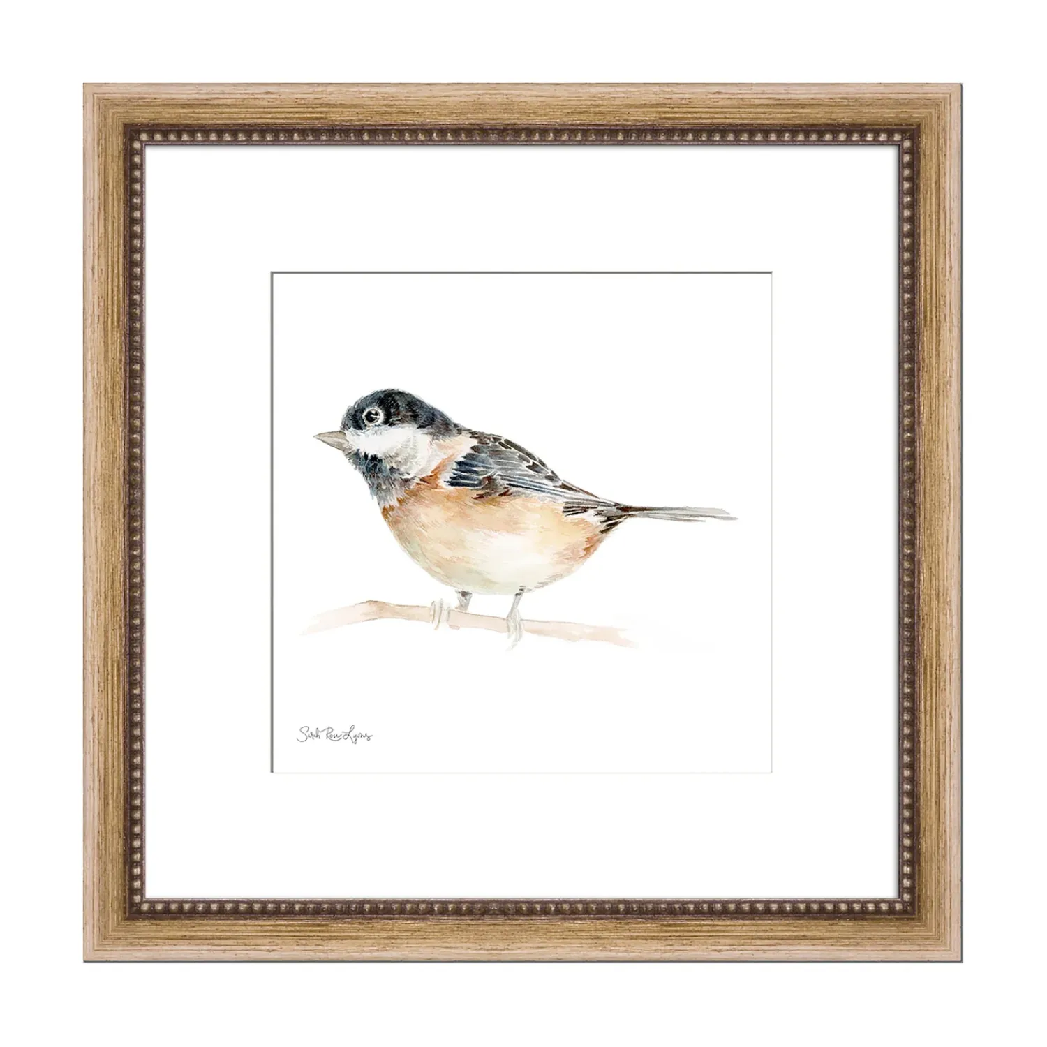 Plow & Hearth Wall Art>Black-Capped Chickadee Framed Wall Art Painting
