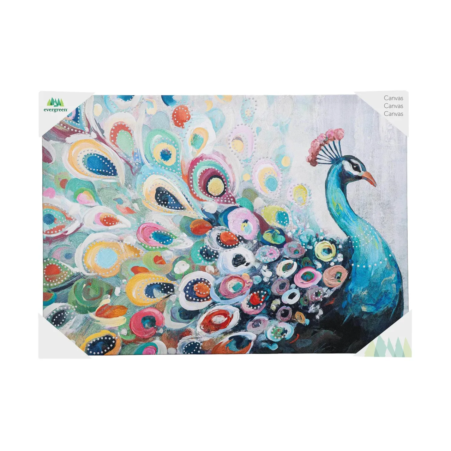 Plow & Hearth Wall Art>Canvas Wall Décor, Peacock, 28" L x 20" H