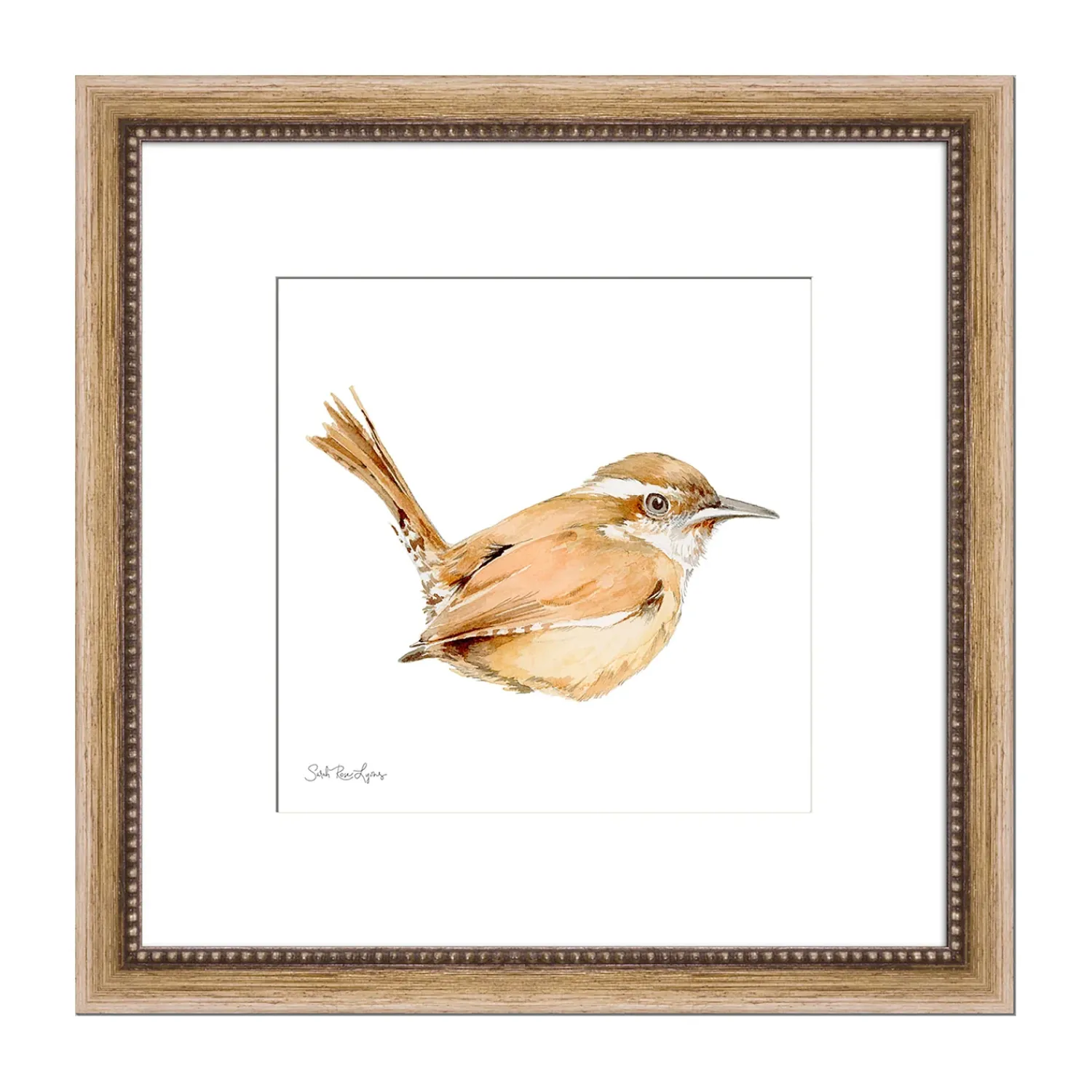 Plow & Hearth Wall Art>Carolina Wren Framed Wall Art Painting