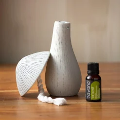 Plow & Hearth Decorative Accents>Ceramic Mushroom Diffuser, Large