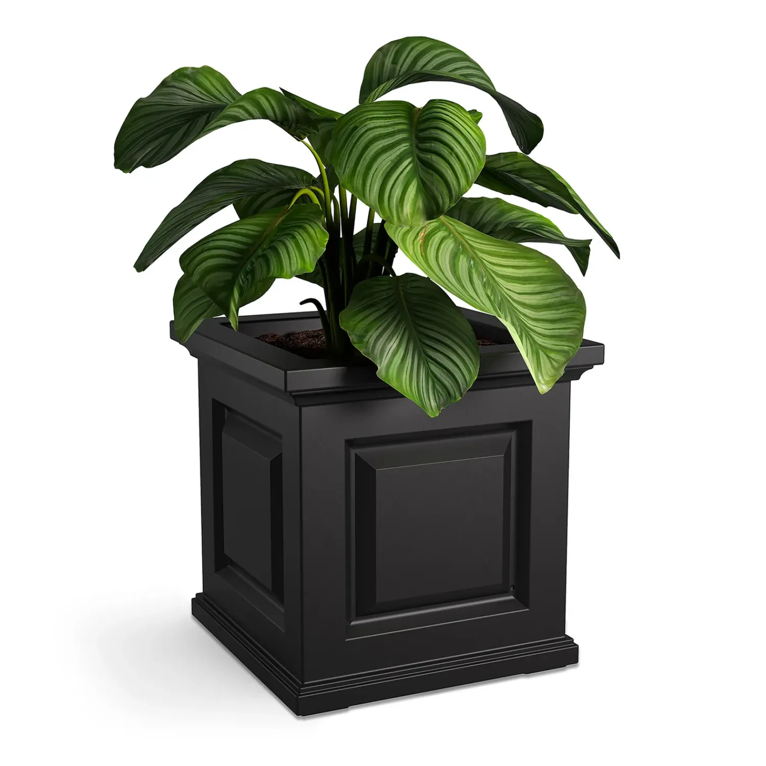 Plow & Hearth Planters & Plant Stands>Chadwick Self-Watering Planter, 16" sq.