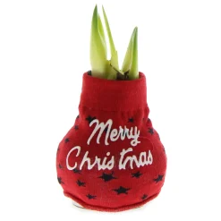 Plow & Hearth Bulb Gardens & Florals><noscript><img width=
