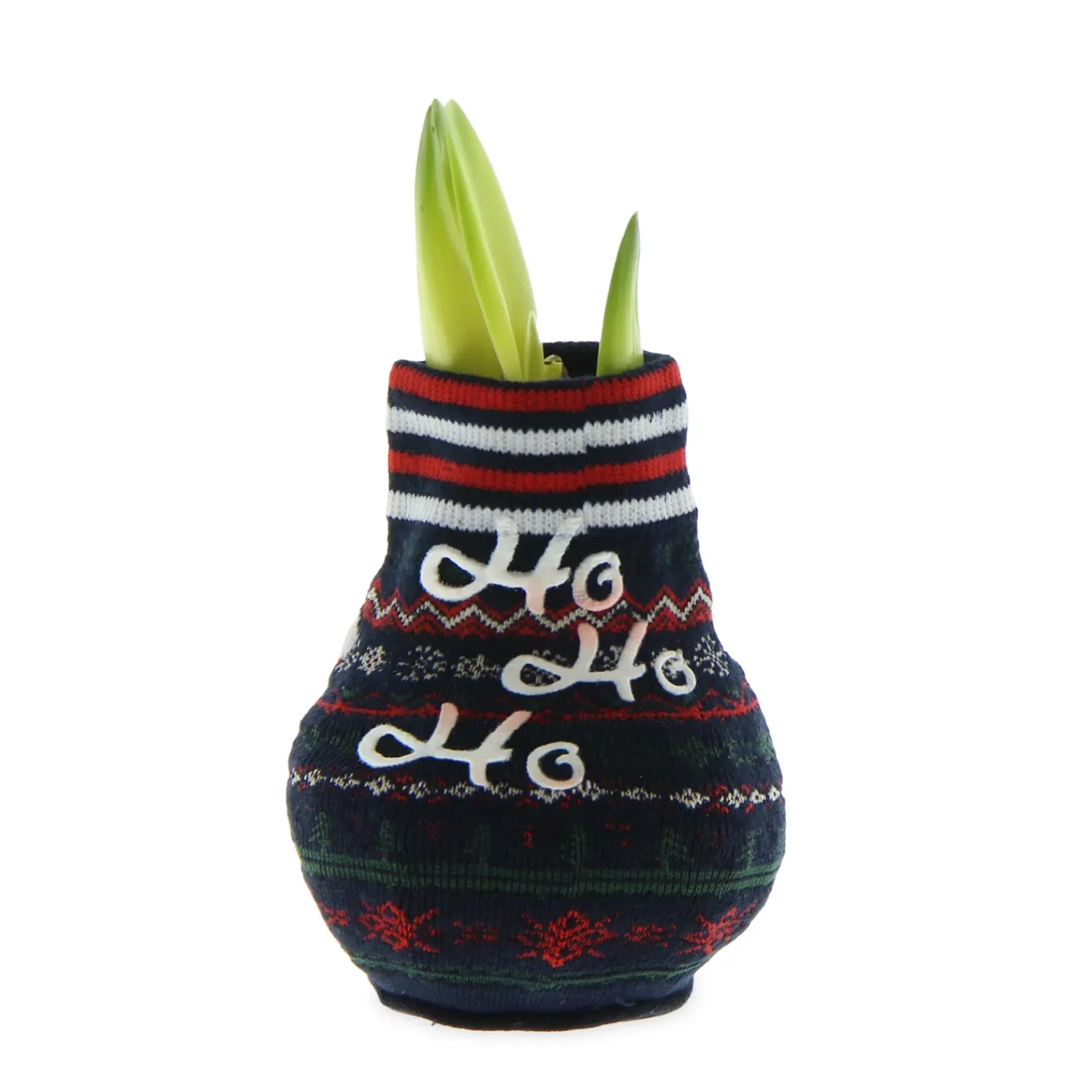 Plow & Hearth Bulb Gardens & Florals>Character Sweater Self-Contained Amaryllis Flower Bulb