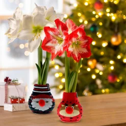 Plow & Hearth Bulb Gardens & Florals><noscript><img width=