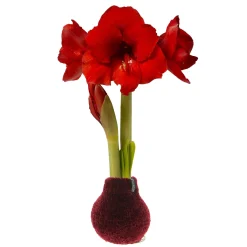Plow & Hearth Bulb Gardens & Florals><noscript><img width=