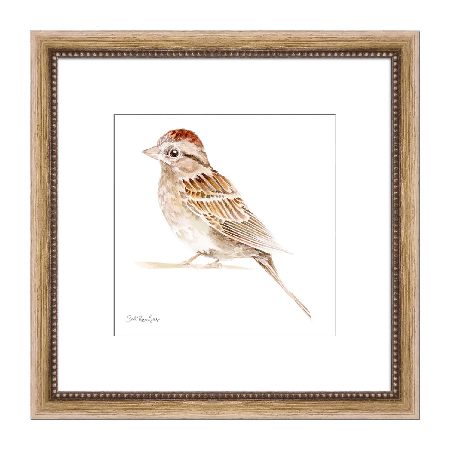 Plow & Hearth Wall Art>Chipping Sparrow Framed Wall Art Painting