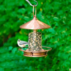 Plow & Hearth Bird Feeders>Classic Cylinder Perch Bird Feeder in Antiqued and Plexiglass Copper