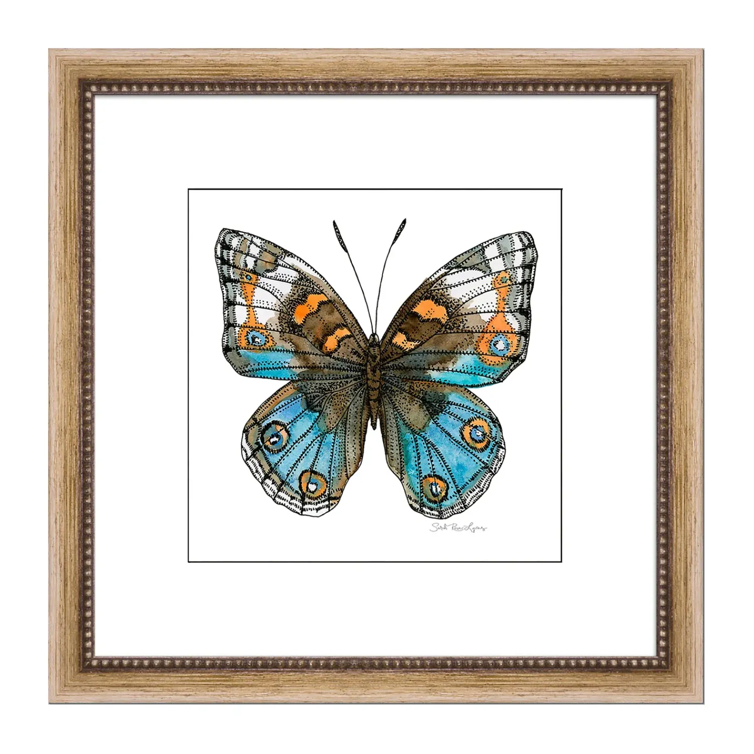 Plow & Hearth Wall Art>Common Blue Framed Wall Art Painting