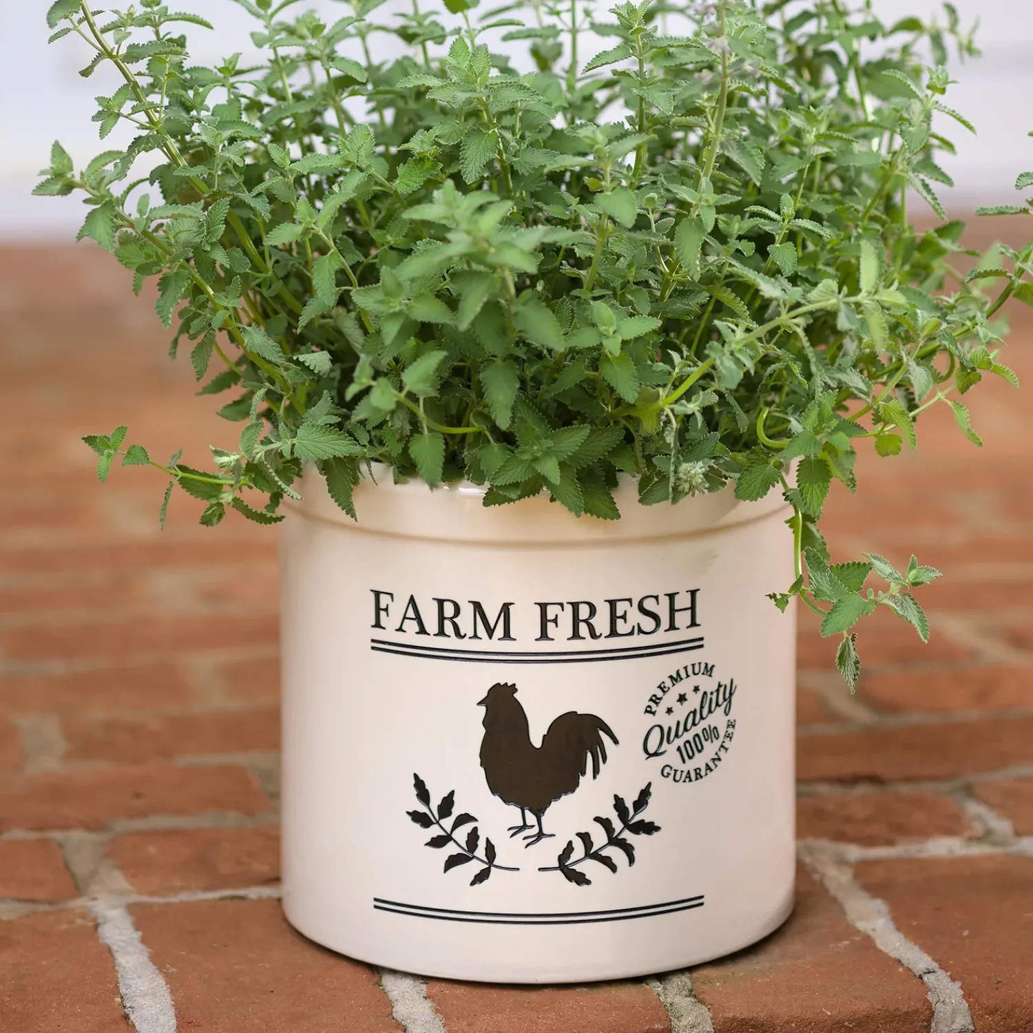 Plow & Hearth Planters & Plant Stands>Farm Fresh Rooster Stoneware Crock
