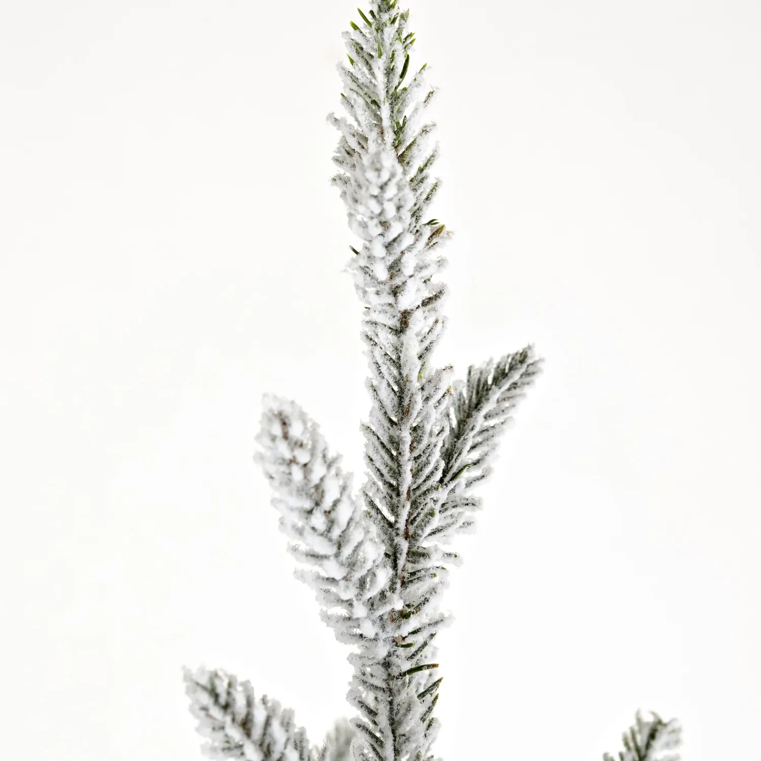 Plow & Hearth Lighted Trees & Garlands>Flocked Roanoke Spruce Christmas Tree