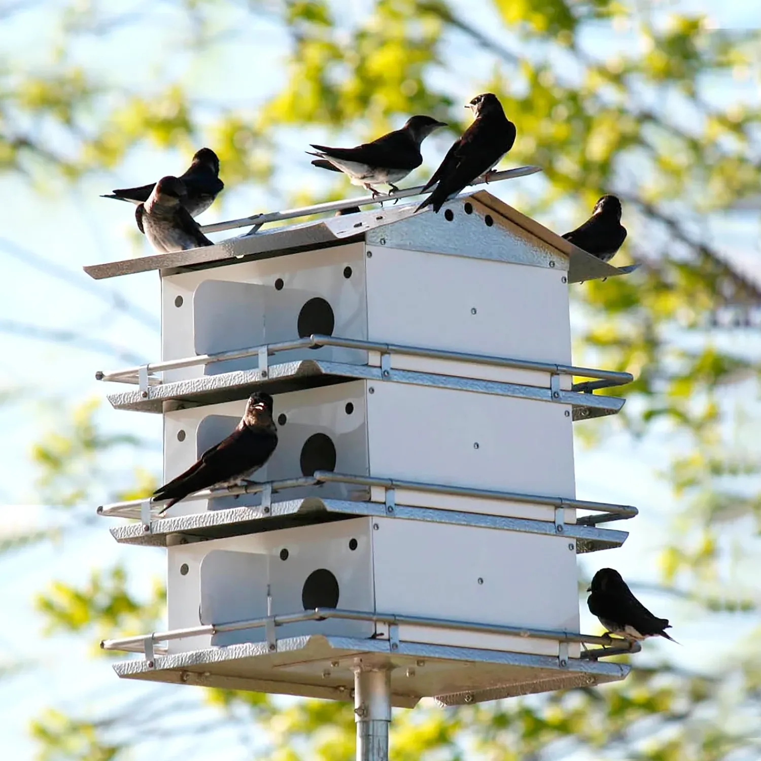 Plow & Hearth Birdhouses>Fully-Assembled 12-Room Purple Martin Birdhouse and Pole Set