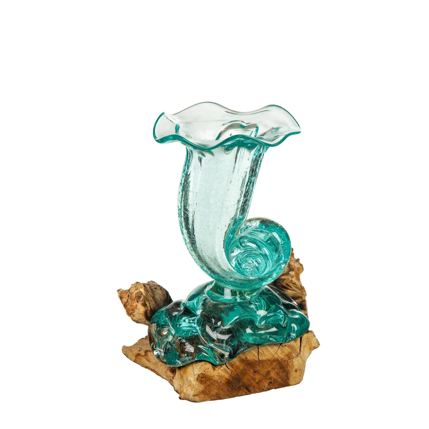 Plow & Hearth Decorative Accents|Planters & Vases>Glass Shell Vase On Driftwood