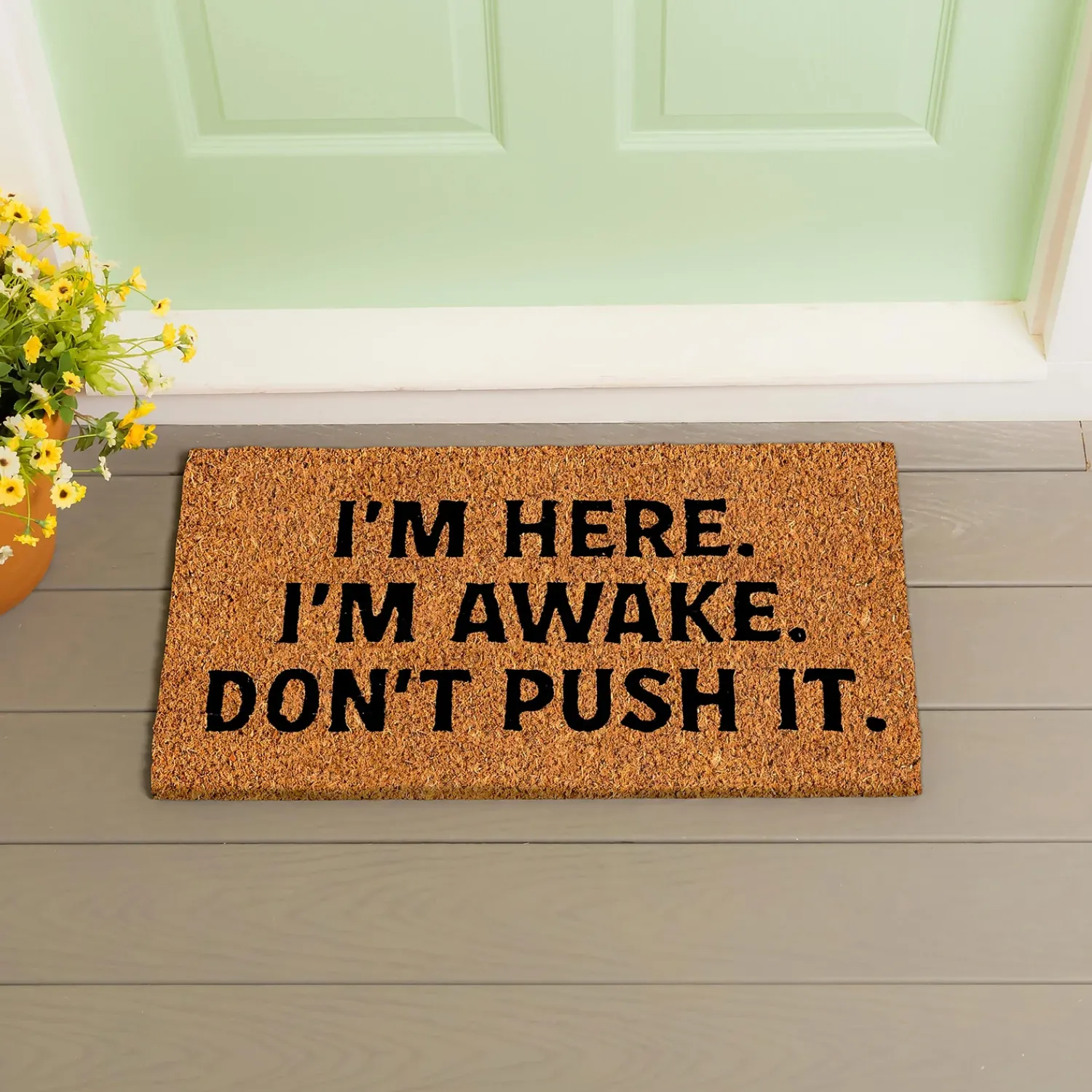 Plow & Hearth Coir Mats>I'm Here. I'm Awake. Coir Mat