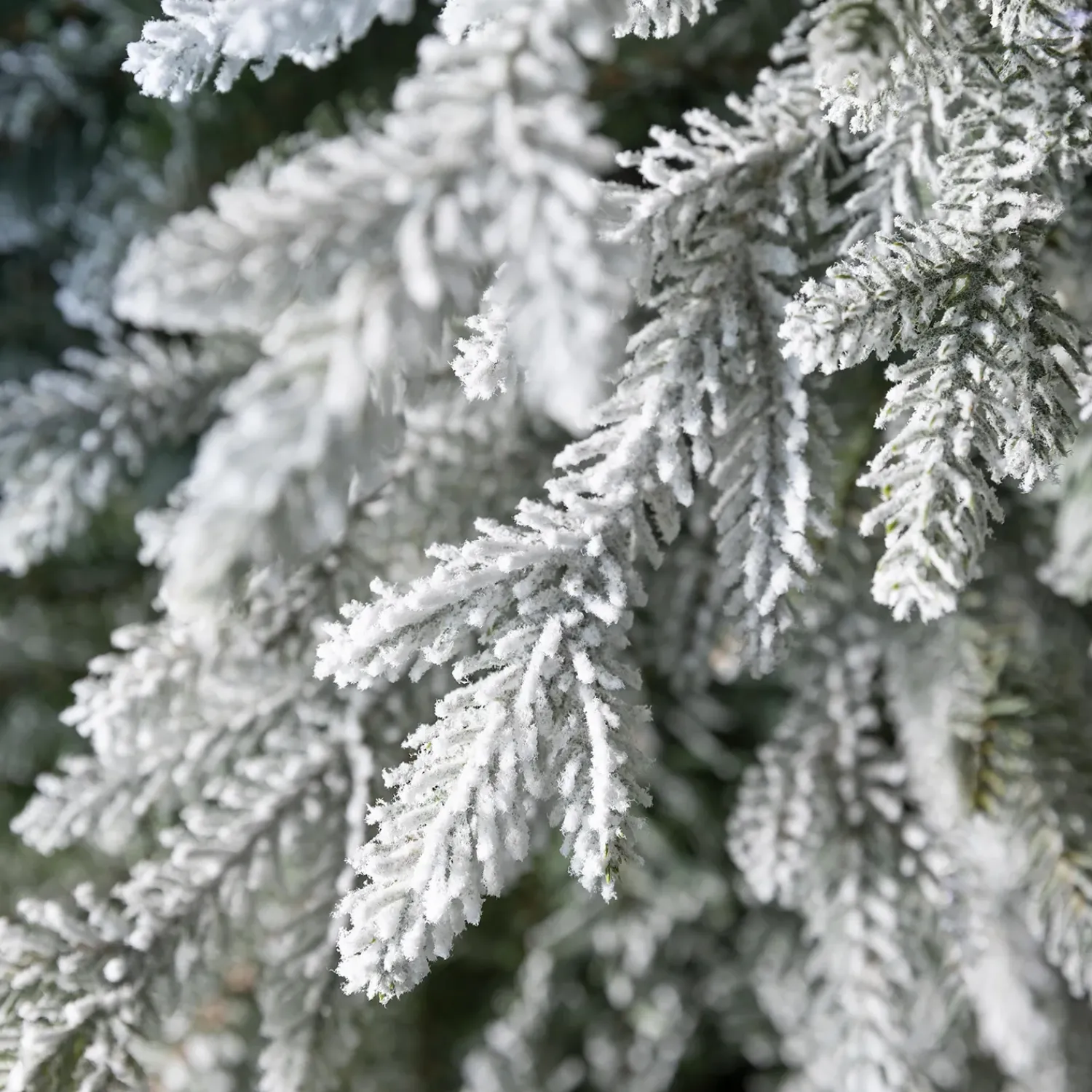 Plow & Hearth Lighted Trees & Garlands>Indoor/Outdoor Flocked Roanoke Spruce Potted Tree with Warm White LEDs