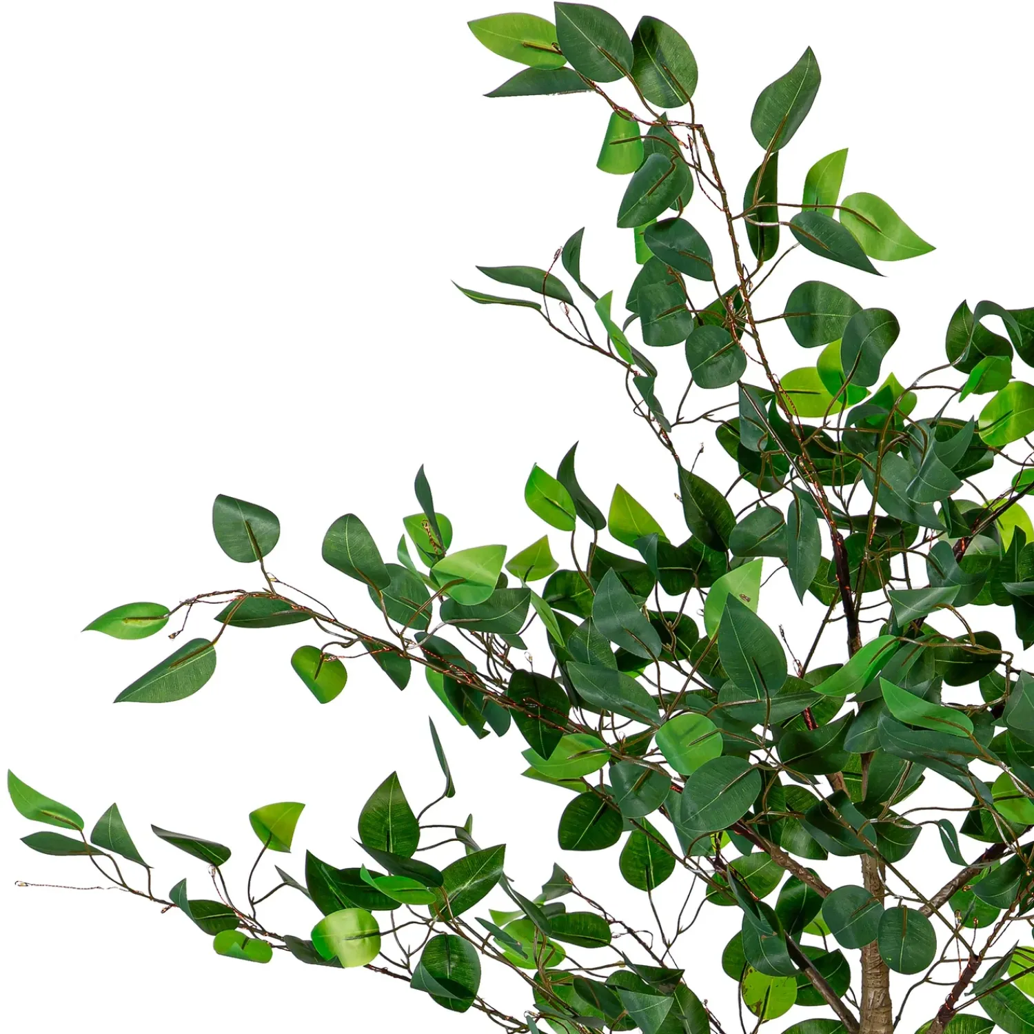 Plow & Hearth Lighted Trees & Garlands>Indoor/Outdoor LED Ficus Tree 4'