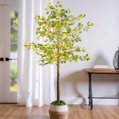 Plow & Hearth Lighted Trees & Garlands>Indoor/Outdoor LED Ficus Tree 6'
