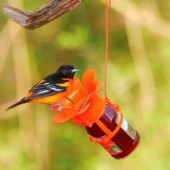 Plow & Hearth Bird Feeders>Jelly/Jam Jar Oriole Bird Feeder