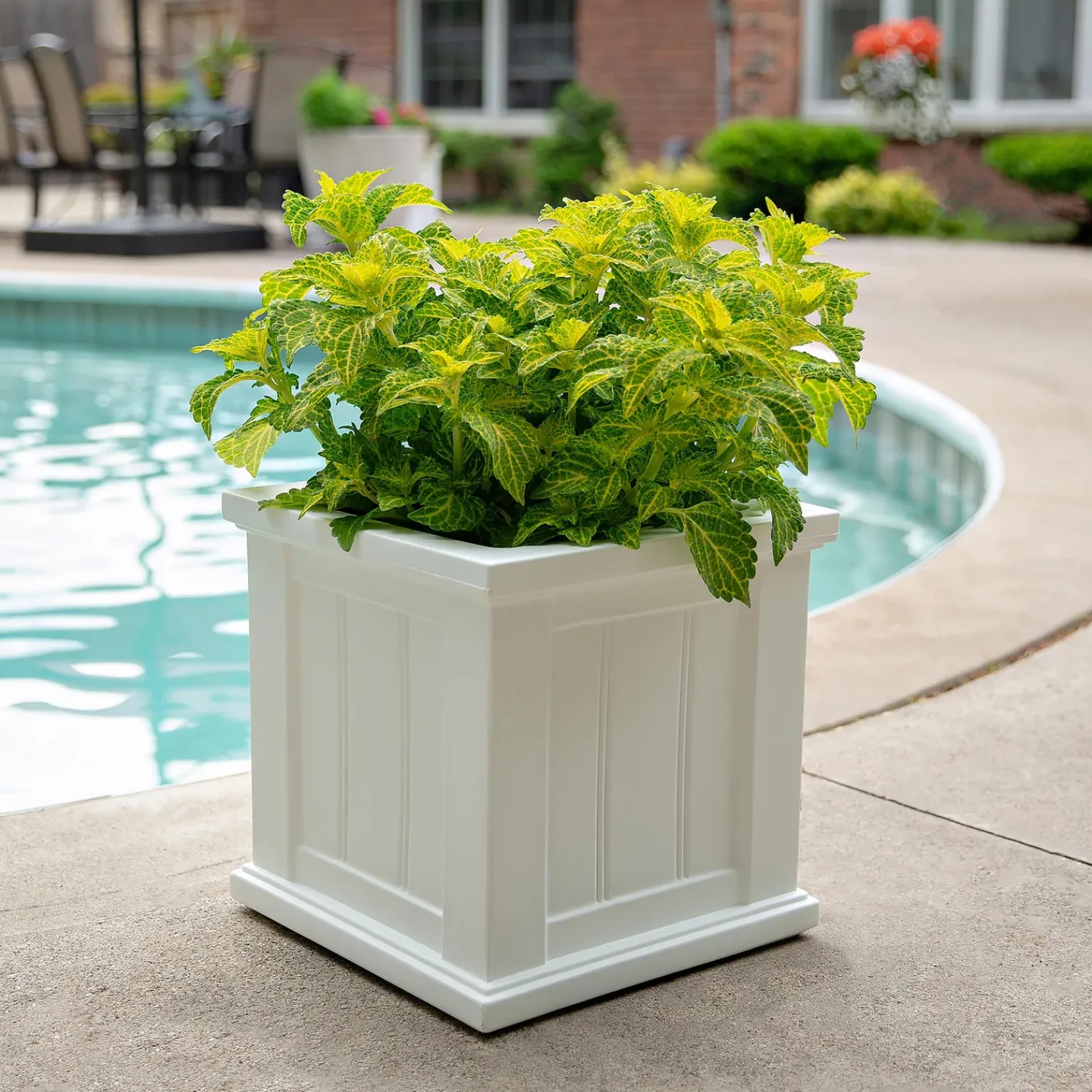 Plow & Hearth Planters & Plant Stands>Lexington Self-Watering Planter, 14" sq.