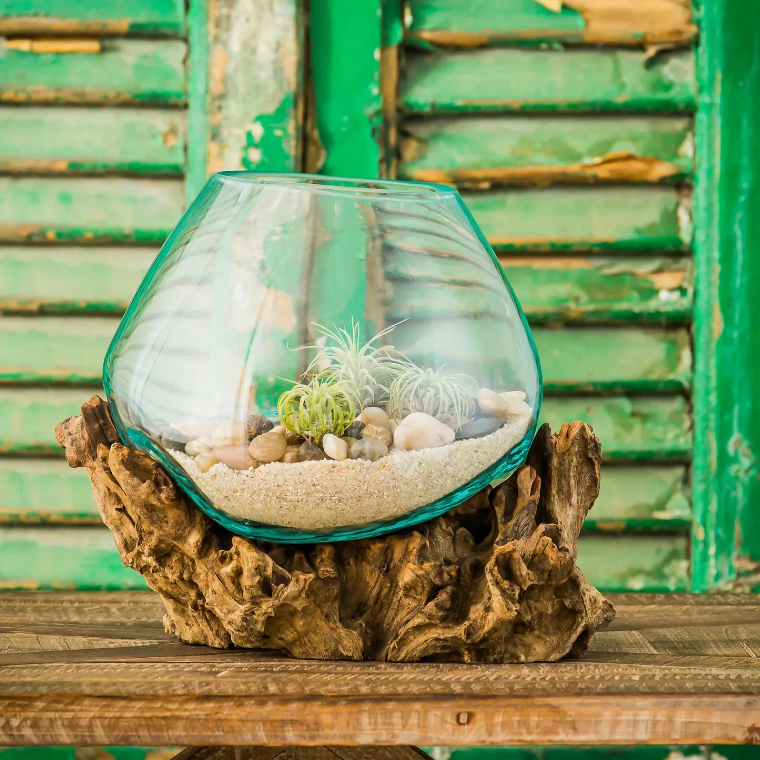 Plow & Hearth Decorative Accents|Planters & Vases>Medium Glass Planter on Driftwood