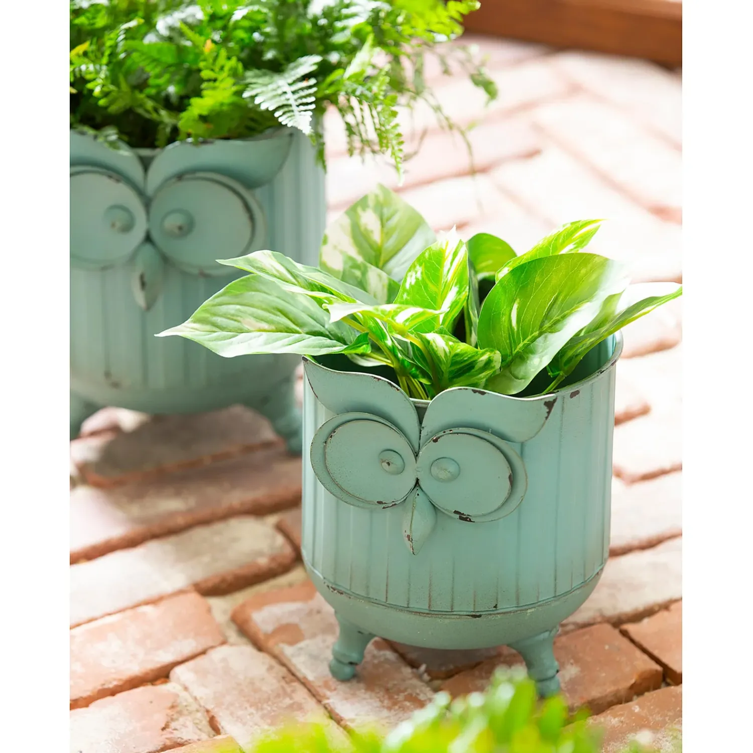 Plow & Hearth Planters & Plant Stands>Metal Owl Planter Set of 2