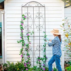 Plow & Hearth Arbors & Trellises>Montebello Metal Tall Garden Trellis