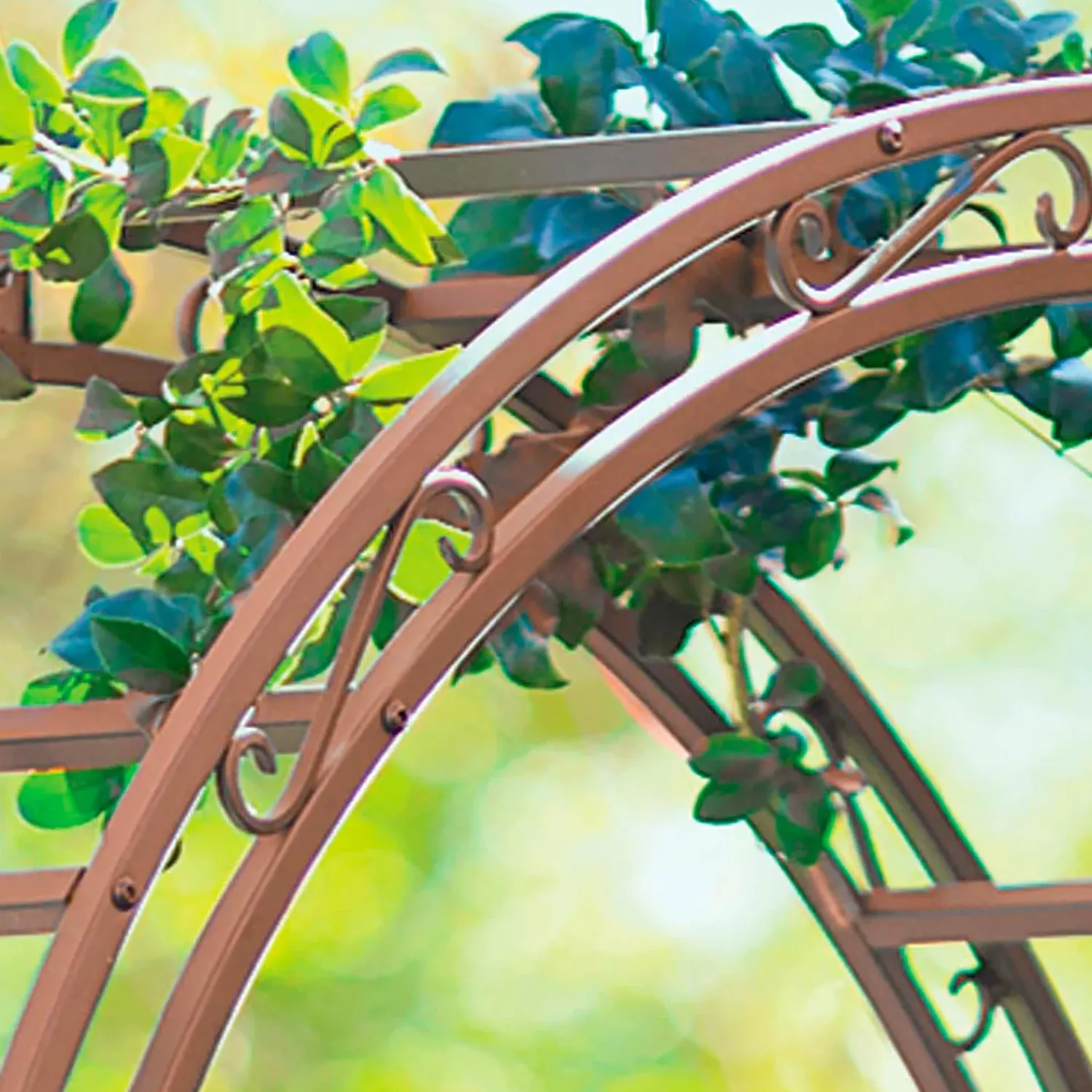 Plow & Hearth Arbors & Trellises>Montebello Scrollwork Metal Garden Arbor with Gate