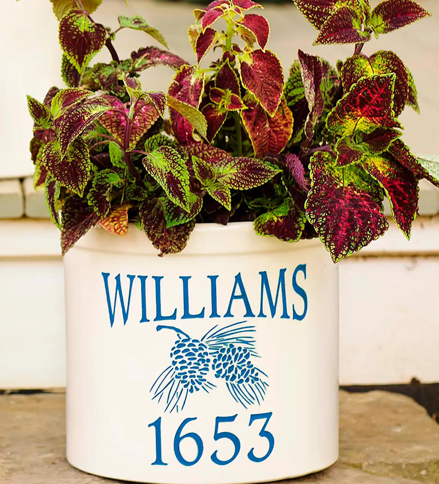 Plow & Hearth Planters & Vases>Personalized Pine Cone Crock