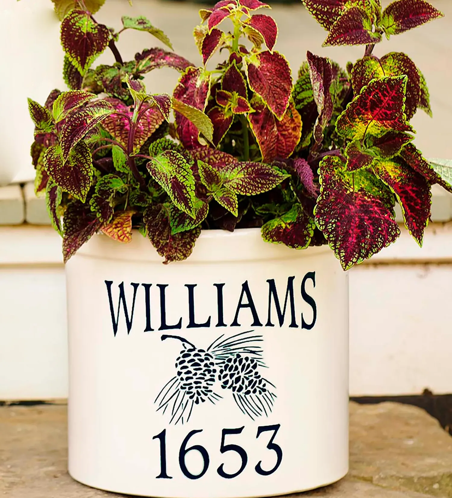 Plow & Hearth Planters & Vases>Personalized Pine Cone Crock