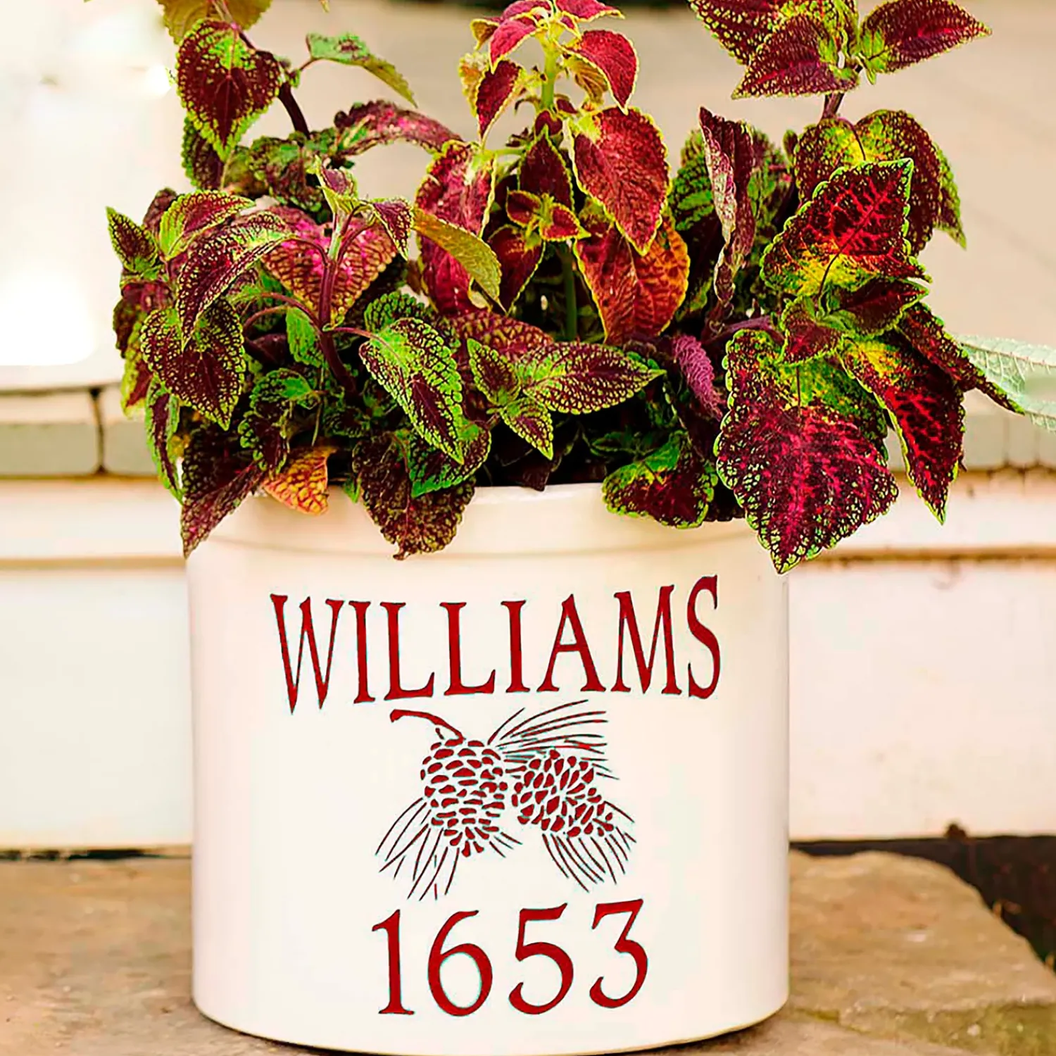 Plow & Hearth Planters & Vases>Personalized Pine Cone Crock