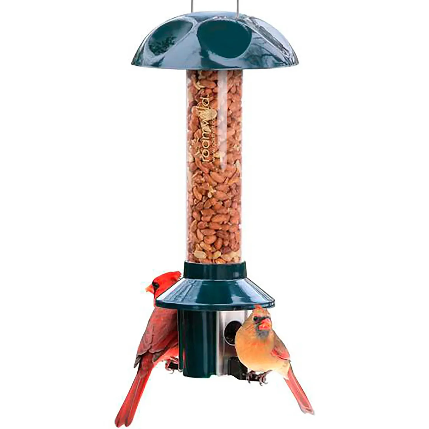 Plow & Hearth Bird Feeders>PestOff Bird Feeder For Peanuts, Dried Meal Worms, Suet And Wild Bird Nuggets