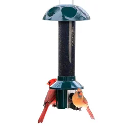 Plow & Hearth Bird Feeders>PestOff Pest Proof Nyjer/Thistle Finch Bird Feeder