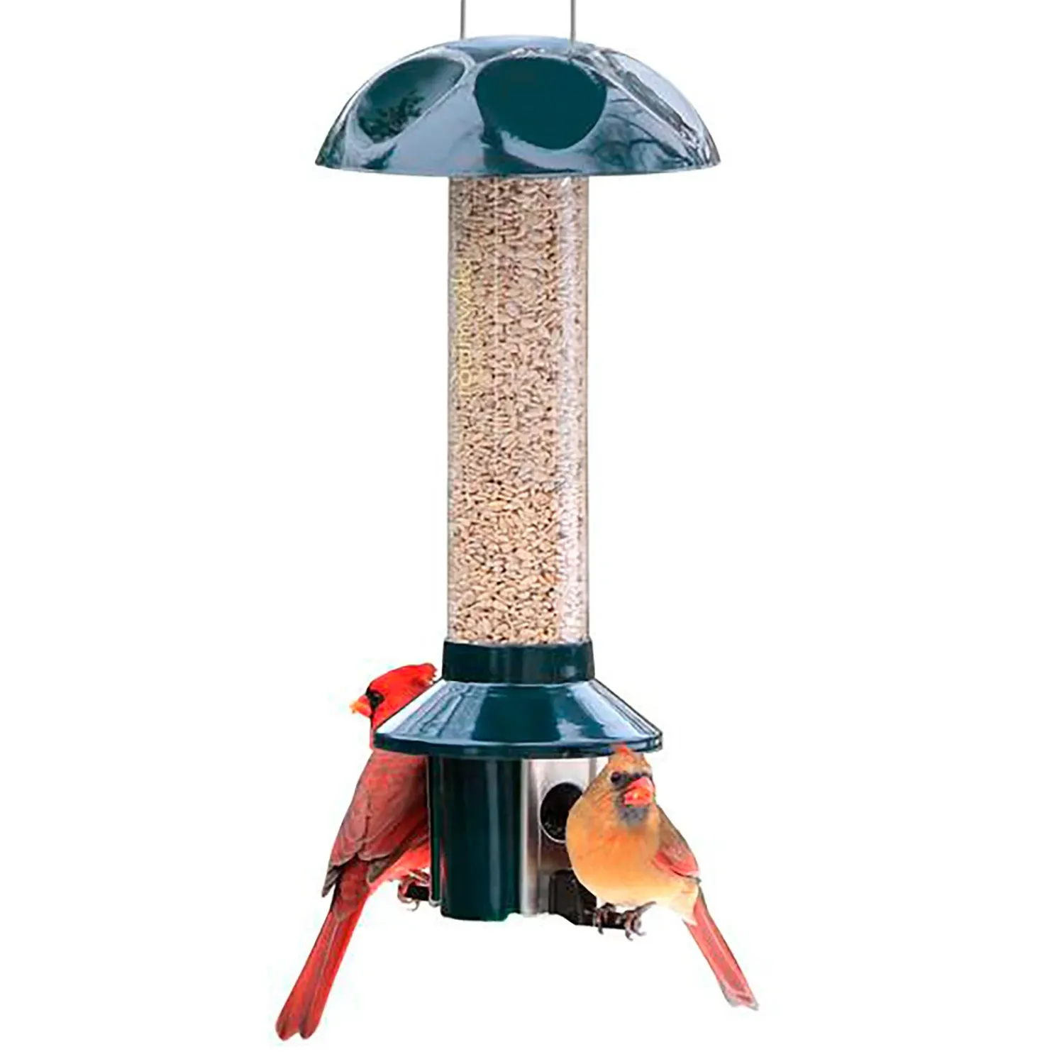 Plow & Hearth Bird Feeders>PestOff Sunflower Mixed Seed Pest Proof Bird Feeder