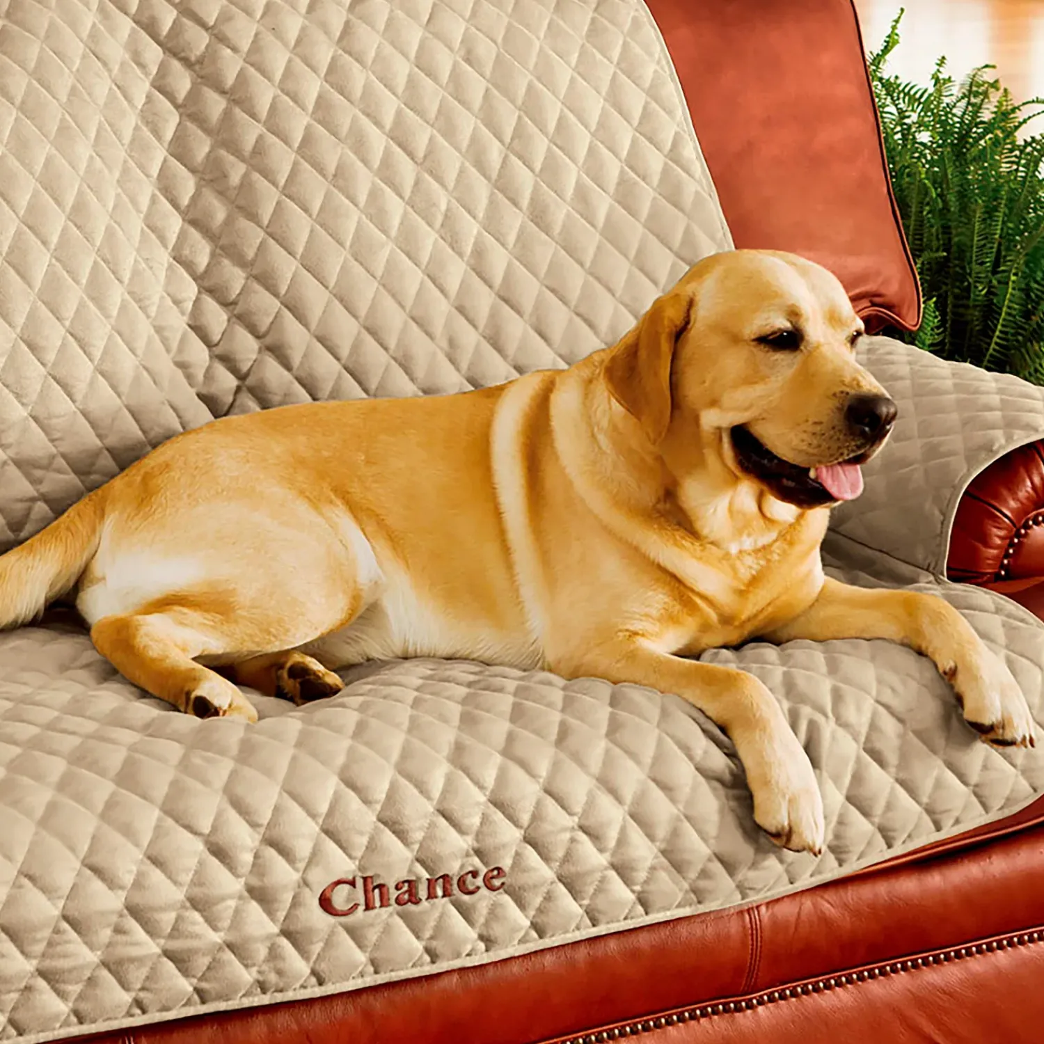 Plow & Hearth Furniture Covers|Pet Products>Pet Loveseat Polyester Protective Cover, Chocolate