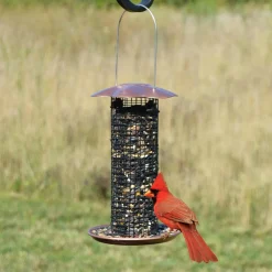 Plow & Hearth Bird Feeders>Petite Sunflower Seed Bird Feeder Copper
