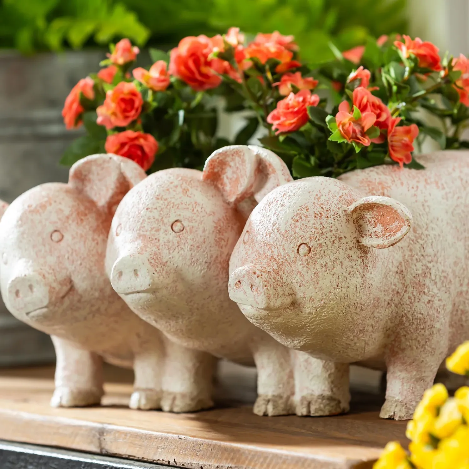 Plow & Hearth Planters & Plant Stands>PIG PLANTER