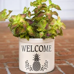 Plow & Hearth Planters & Plant Stands><noscript><img width=