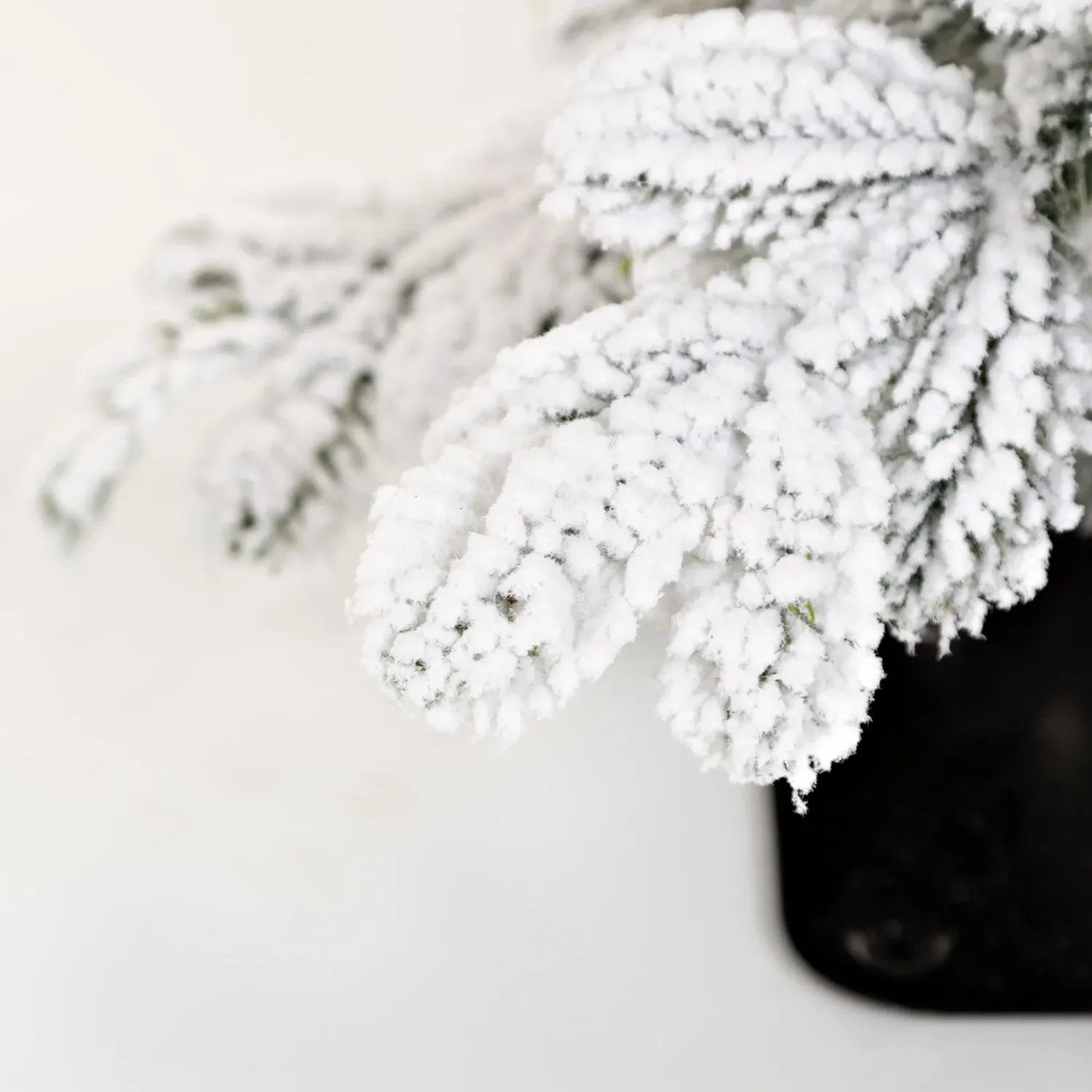 Plow & Hearth Lighted Trees & Garlands>18"H Monte Rosa Flocked Alpine Fir Tabletop Tree