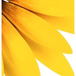 Plow & Hearth Wind Spinners><noscript><img width=