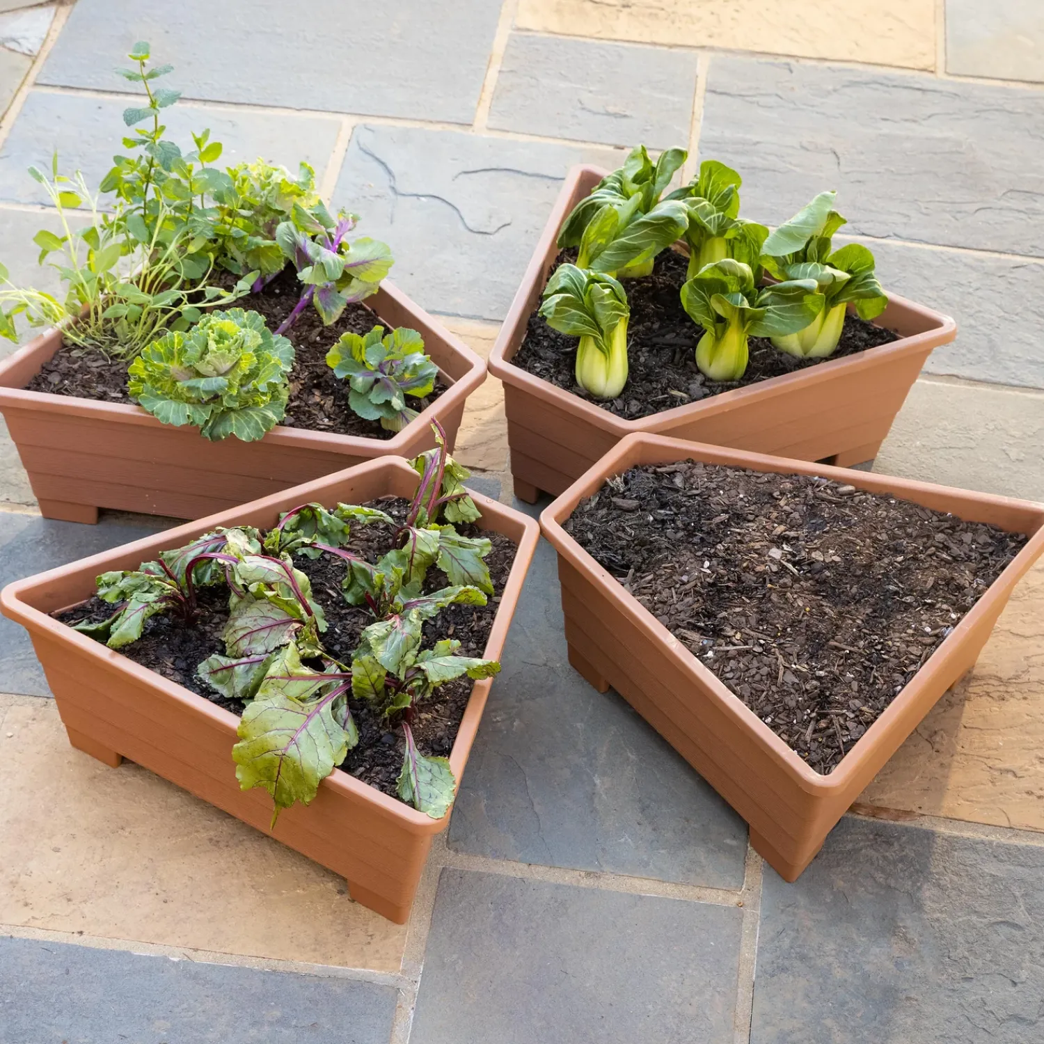 Plow & Hearth Planters & Plant Stands>Raised Modular Conversion Planters, Set of 4