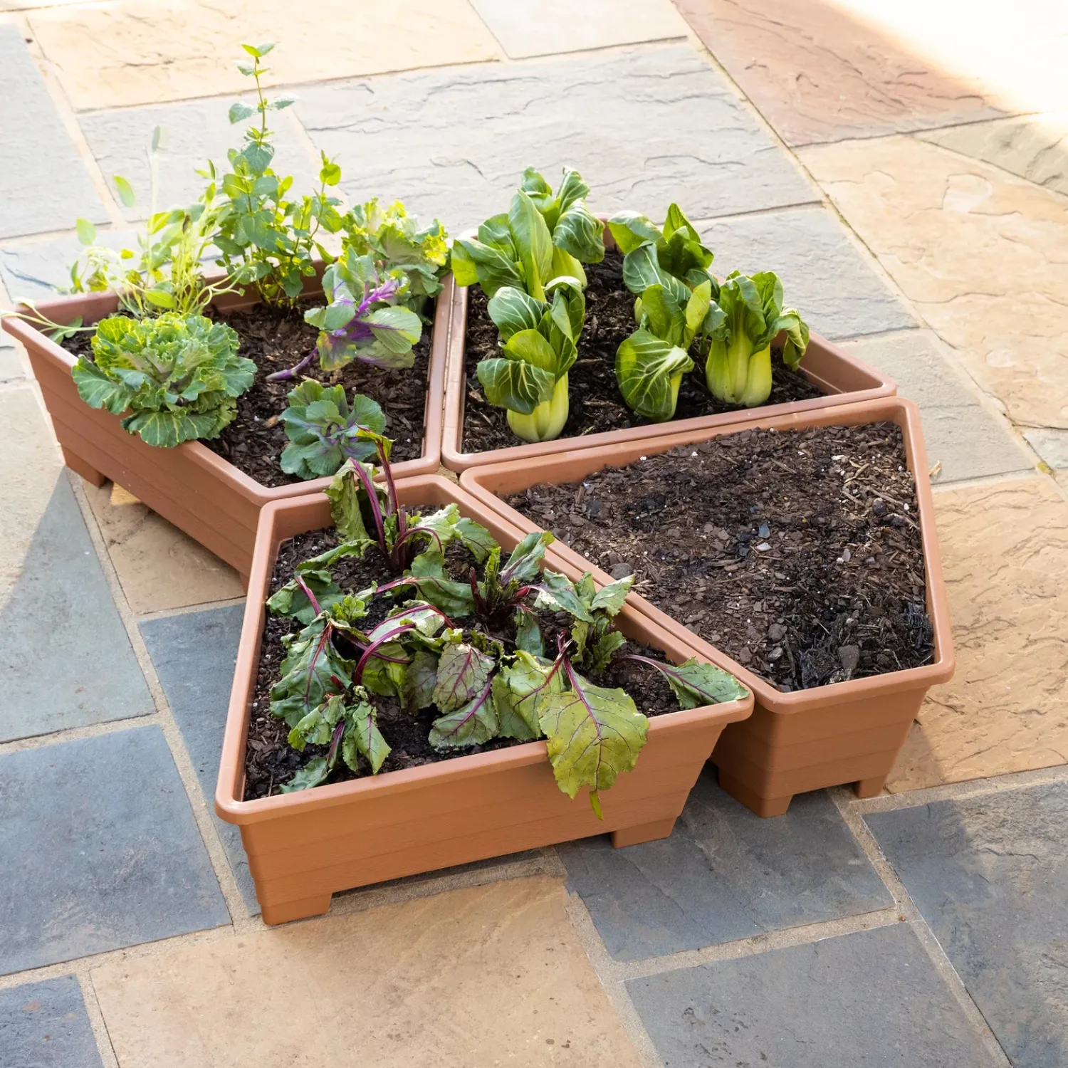 Plow & Hearth Planters & Plant Stands>Raised Modular Conversion Planters, Set of 4