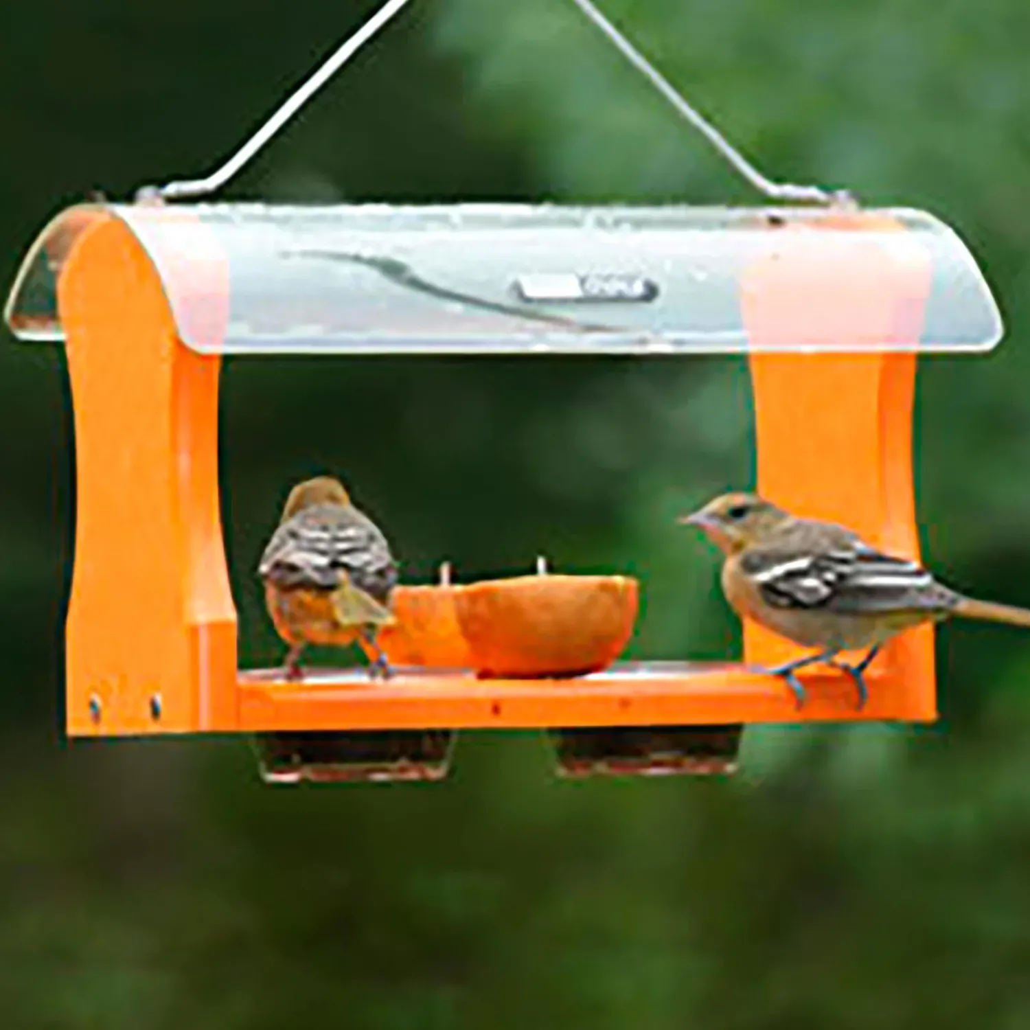 Plow & Hearth Bird Feeders>Recycled Plastic Poly-Lumber Oriole Bird Feeder