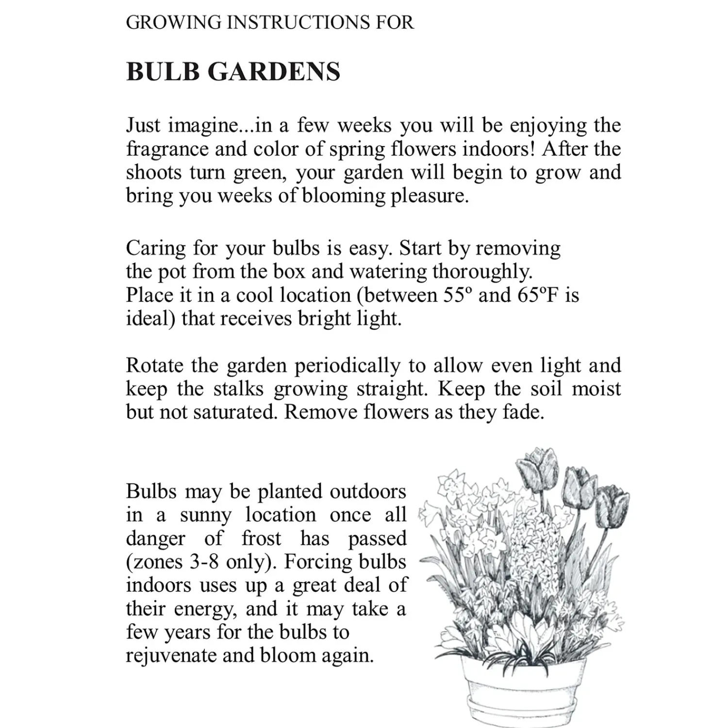 Plow & Hearth Bulb Gardens & Florals>Red & White Dutch Flower Bulb Holiday Gift Garden