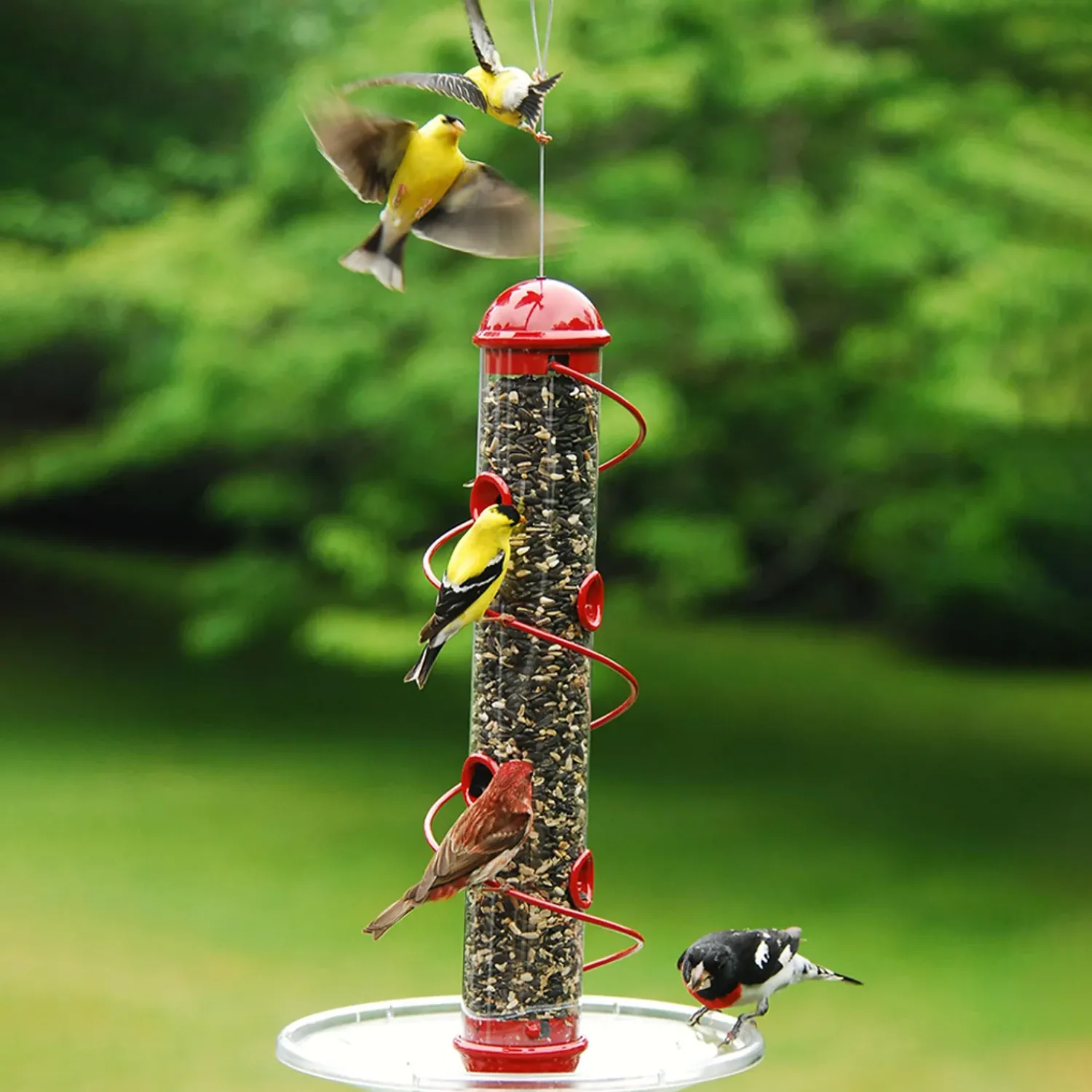 Plow & Hearth Bird Feeders>Spiral-Perch Finch Bird Feeder Red