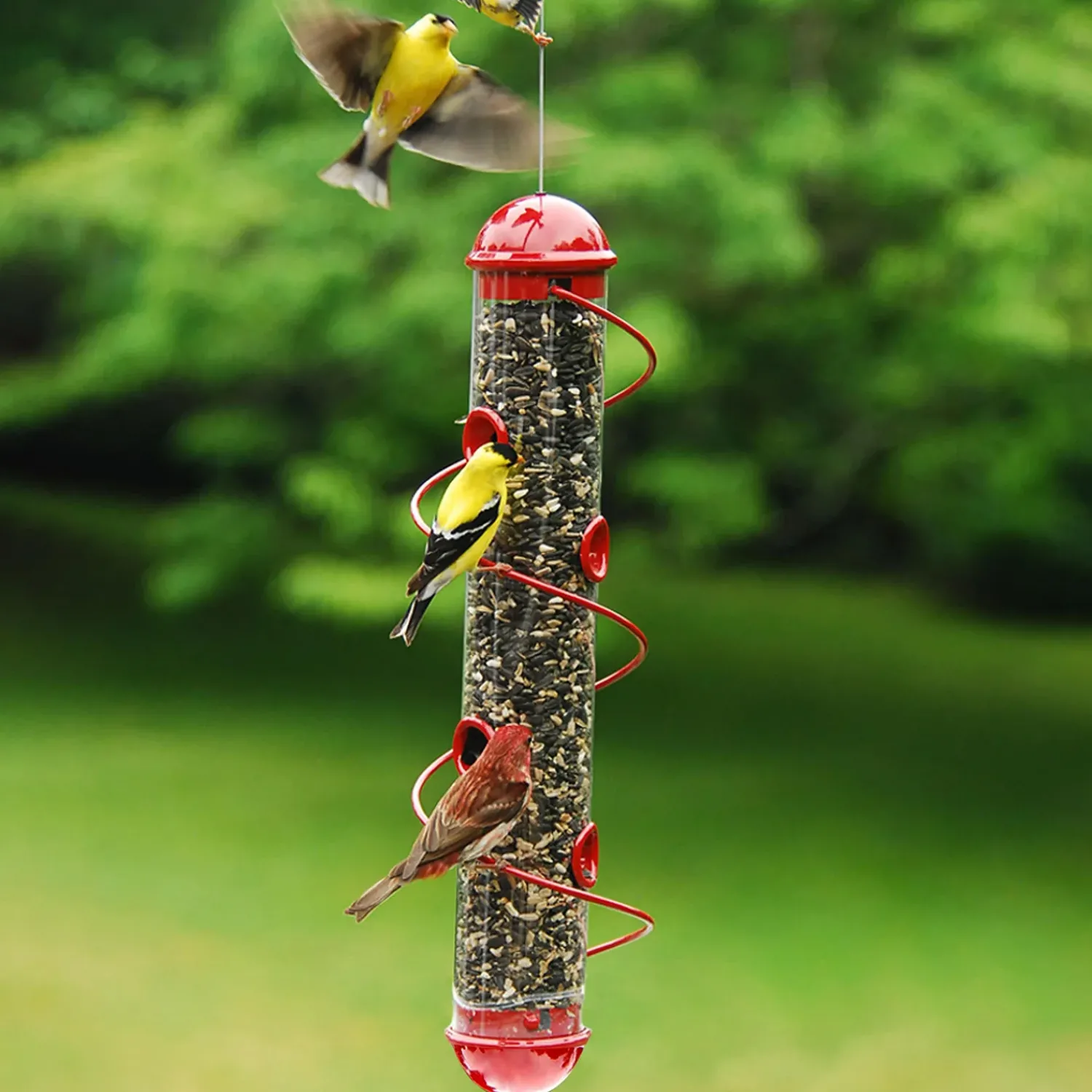 Plow & Hearth Bird Feeders>Spiral-Perch Finch Bird Feeder Red