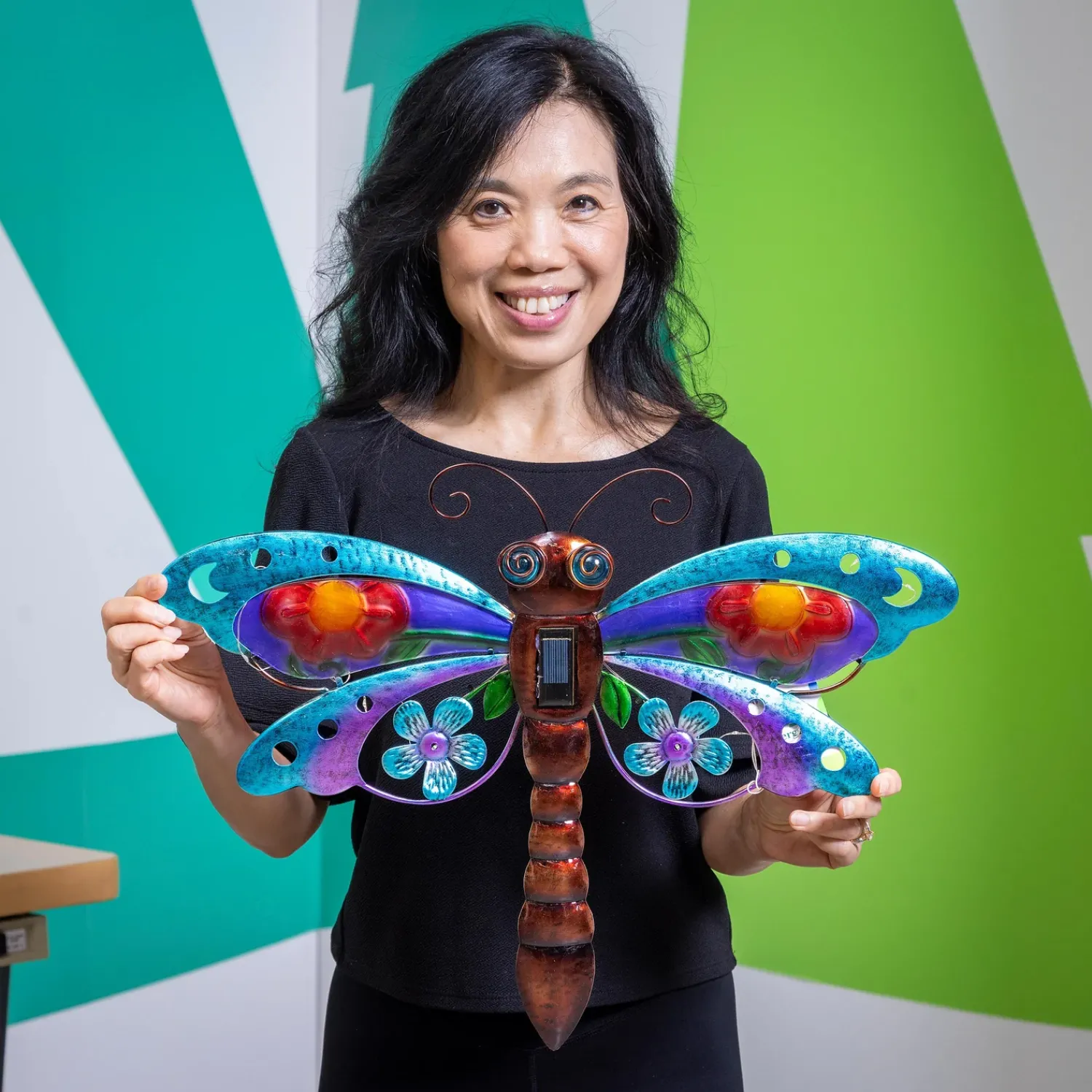 Plow & Hearth Wall Art>Solar Dragonfly Metal Wall Décor