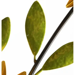 Plow & Hearth Arbors & Trellises><noscript><img width=